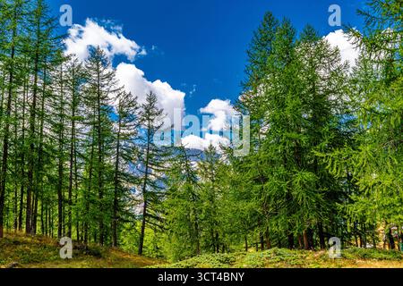Von Cervinia nach Cheneil, einer charmanten Stadt in der Gemeinde Valtournenche Stockfoto
