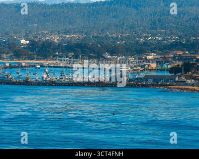Blick aus der Vogelperspektive auf Monterey Marina mit Segelbooten und Gebäuden am Wasser Stockfoto