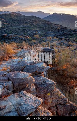 Wüstenlandschaft in der Nähe von Phoenix, Arizona, USA Stockfoto