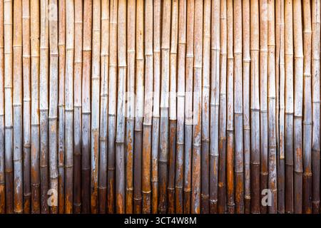 Bambus Holz Hintergrundtextur Stockfoto