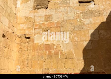 Ägyptischen Hieroglyphen und Zeichnungen an den Wänden und Säulen. Ägyptische Sprache, das Leben der antiken Götter und Menschen in Hieroglyphen und Zeichnungen Stockfoto