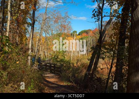 Malerischer Pfad entlang des Talbodens in herbstlichen Farben im Rocky River Reservation, Teil des Greater Cleveland Ohio Metro Parks System Stockfoto