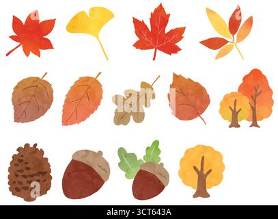 Herbstlaub und Eicheln Illustration mit bunten Blättern und Bäumen, Herbstlaub mit rotem Ahorn, Ginkgoblättern und Eicheln Stock Vektor
