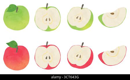 Illustration von roten und grünen Äpfeln mit Querschnitten, bunten Äpfeln und geschnittenen Äpfeln Stock Vektor