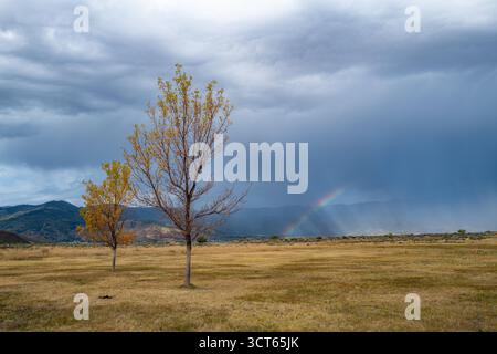 Herbstfoto von Bäumen mit wechselnden Blättern, Wolken und Regenbogen im Hintergrund in der Nähe des Washoe Lake in Nevada, USA Stockfoto