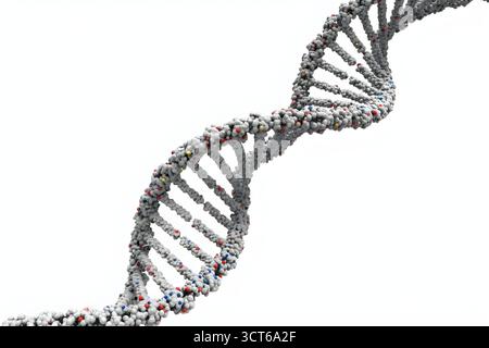 Ein DNA-Strang wird auf weißem Hintergrund dargestellt. Der Strang besteht aus vielen kleinen Perlen, von denen jede eine andere Farbe hat. Die Perlen sind in angeordnet Stockfoto