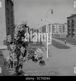 Ein Panoramablick auf ein neu erbautes Wohnviertel in Sloviansk, ukrainische SSR, während der 1960er Jahre Die Fotos zeigen den Puschkin Boulevard (heute Shevchenko Boulevard), eine breite Allee mit einer zentralen Fußgängerpromenade. Die Szene wird von Reihen typischer fünfstöckiger „Chruschtschjowka“-Wohnhäuser dominiert, ein Markenzeichen der sowjetischen Massenhäuser dieser Zeit. Junge Bäume und spärliche Landschaftsgärten deuten auf die jüngste Fertigstellung des Bezirks hin. Fußgänger schlendern entlang der Promenade und erwecken die moderne Stadtlandschaft zum Leben. Dieses Bild spiegelt den Geist der sowjetischen Stadtentwicklung und den Optimismus wider Stockfoto
