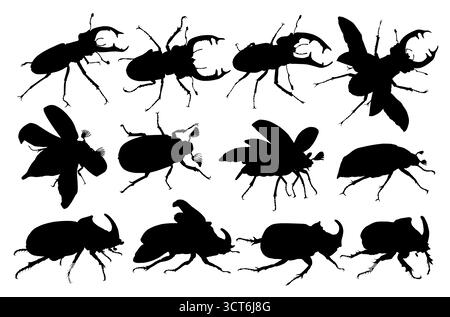 Die Silhouetten der Käfer. Stock Vektor