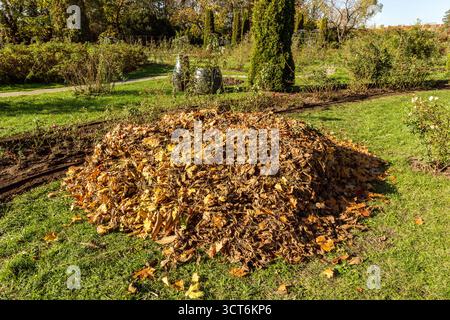 Ein großer Haufen getrockneter Herbstblätter auf einem Rasen in einem Garten oder Park. Herbstfarben und eine natürliche Umgebung im Freien bei hellem Sonnenlicht. Stockfoto