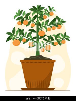 Reife Orangen auf kleinem Orangenbaum im Topf für Obst und dekorative Topfpflanze Illustration Clip Art Stock Vektor