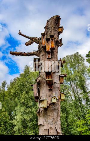 Toter und trockener Baumstamm mit vielen großen und kleinen Vogelhäusern, Vogelschutz und Fütterung, grüne Laubbäume vor blauem Himmel mit weißem Himmel Stockfoto