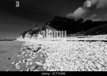 Blick auf die Sewerby Cliffs und Foreshore, Sewerby Village, East Riding of Yorkshire, England, Großbritannien Stockfoto