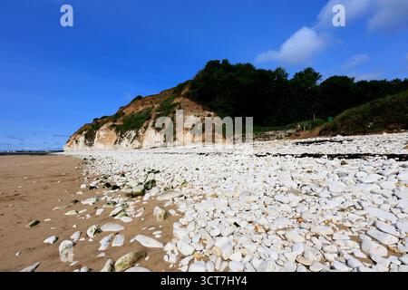 Blick auf die Sewerby Cliffs und Foreshore, Sewerby Village, East Riding of Yorkshire, England, Großbritannien Stockfoto