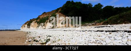 Blick auf die Sewerby Cliffs und Foreshore, Sewerby Village, East Riding of Yorkshire, England, Großbritannien Stockfoto