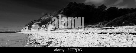 Blick auf die Sewerby Cliffs und Foreshore, Sewerby Village, East Riding of Yorkshire, England, Großbritannien Stockfoto