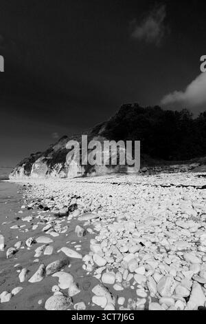 Blick auf die Sewerby Cliffs und Foreshore, Sewerby Village, East Riding of Yorkshire, England, Großbritannien Stockfoto