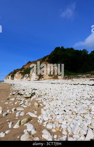 Blick auf die Sewerby Cliffs und Foreshore, Sewerby Village, East Riding of Yorkshire, England, Großbritannien Stockfoto