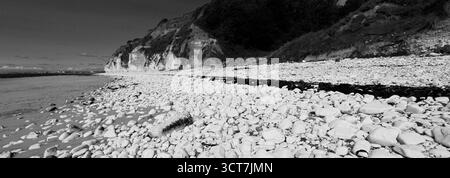 Blick auf die Sewerby Cliffs und Foreshore, Sewerby Village, East Riding of Yorkshire, England, Großbritannien Stockfoto