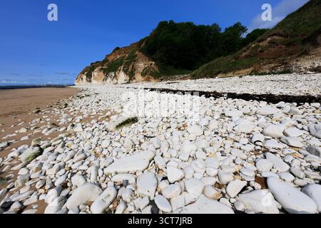 Blick auf die Sewerby Cliffs und Foreshore, Sewerby Village, East Riding of Yorkshire, England, Großbritannien Stockfoto