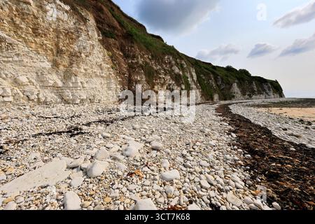 Blick auf die Sewerby Cliffs und Foreshore, Sewerby Village, East Riding of Yorkshire, England, Großbritannien Stockfoto