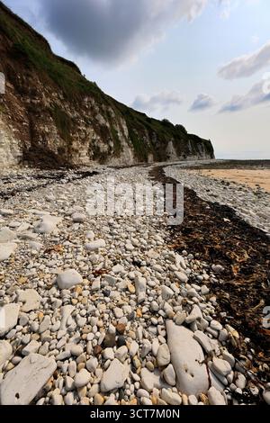 Blick auf die Sewerby Cliffs und Foreshore, Sewerby Village, East Riding of Yorkshire, England, Großbritannien Stockfoto