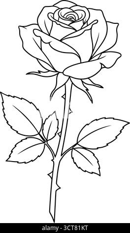 Diese detaillierte Strichgrafik-Illustration zeigt eine wunderschöne Rose mit komplizierten Blüten und Blättern. Stock Vektor