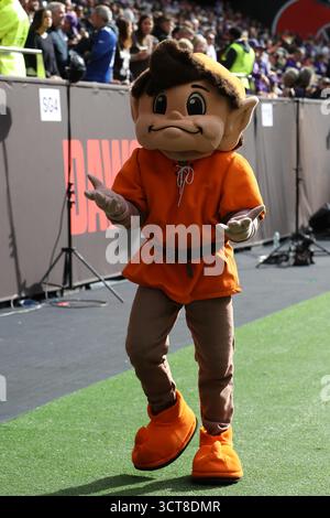 Die Maskottchen Und Stadien Der NFL Teams