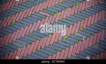 Rotes und schwarzes Fischgrätenziegel-Pflastermuster. Von oben nach unten abwechselnde rote und schwarze Ziegelsteine, die in einem Fischgrätenmuster angeordnet sind, mit grünem Moos Stockfoto