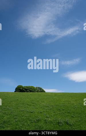 Bäume auf einem hügeligen grünen Hügel unter blauem Himmel mit schroffen Wolken Stockfoto