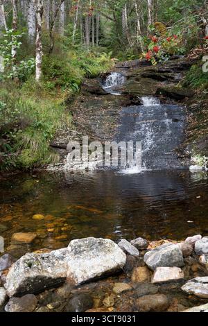 Waldbach stürzt über Felsen durch schottische Wälder mit herbstlichen Farben Stockfoto