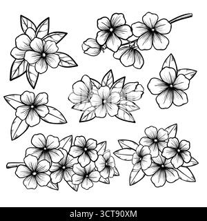 Schöne einfarbige schwarz-weiße Blumenkollektion mit Blättern und Blumen Stock Vektor