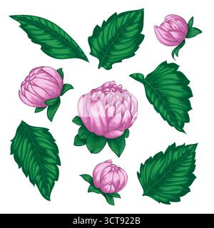 Wunderschönes Vektor Blumen Set. Bunte Blumenkollektion mit Blättern und Blumen Stock Vektor