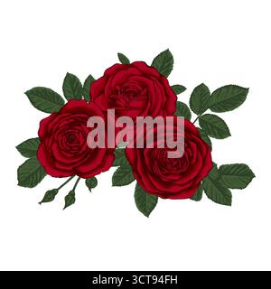 Wunderschöner Blumenstrauß mit roten Rosen und Blättern. Blumenarrangements Stock Vektor