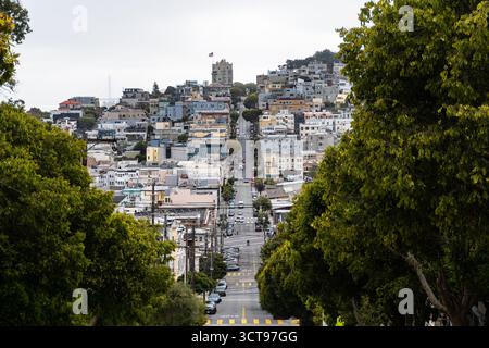 Lombard St. San Francisco Stockfoto