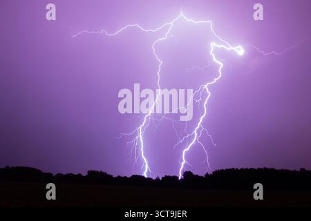 Ein lebendiger Blitz gegen einen violetten Himmel, der in einen Wald schlägt Stockfoto