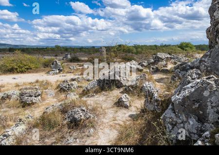 Pobiti Kamani - Naturphänomen, auch bekannt als der Steinerne Wald in Bulgarien Stockfoto