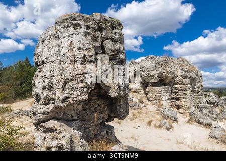 Felsen in Pobiti Kamani - natürliches Phänomen, auch bekannt als der Steinerne Wald in Bulgarien Stockfoto