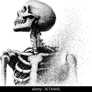 Komplizierte Dotwork-Stippeldarstellung menschlicher Skelette im Auflösungseffekt. Stock Vektor