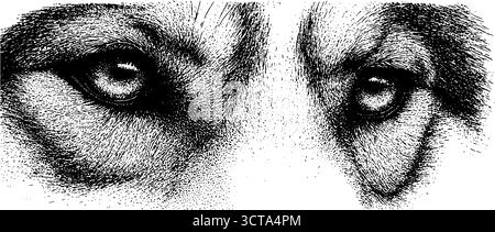 Komplizierte Dotwork-Illustration des menschlichen Gesichts mit detaillierter Textur. Stock Vektor