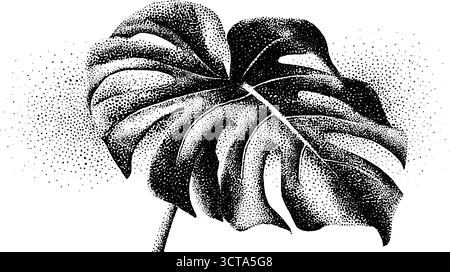 Detaillierte Monstera-Blatt-Dotwork-Illustration für künstlerisches Design. Stock Vektor