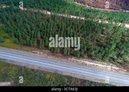 Gerade Straße auf dem Land Stockfoto