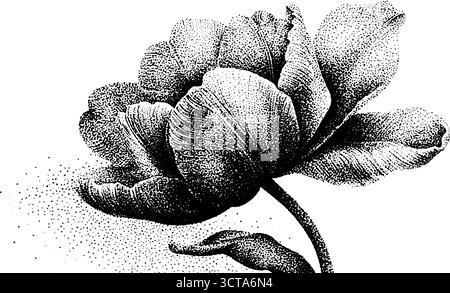 Elegante Tulpe in Blüte: Detailgetreue Punktstippelillustration für Kunst und Design. Stock Vektor