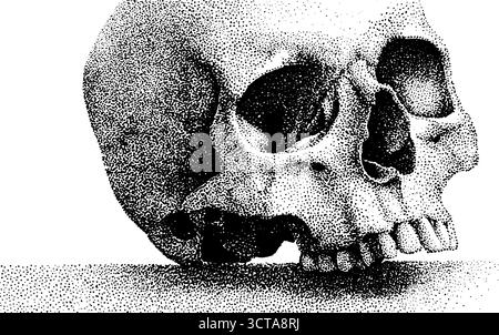 Detaillierte Darstellung der menschlichen Schädelanatomie für pädagogische Gestaltung. Stock Vektor