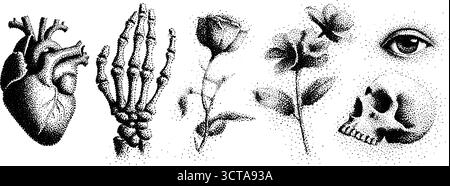 Komplexe anatomische Illustrationen mit Herz, Hand, Rose und Schädel. Stock Vektor