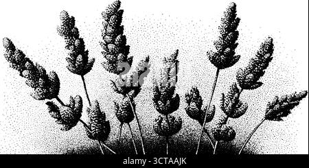 Detaillierte Punktmuster von Lavendelzweigen für botanisches Design und Dekoration. Stock Vektor