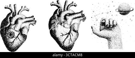 Anatomisches Herz und kosmische Hand Dotwork Stipple Illustration für Kunst und Design. Stock Vektor