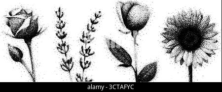 Detaillierte Dotwork-Stippzeichnung von Lavendel und Wildblumen für botanisches Design. Stock Vektor