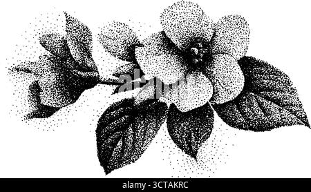 Detaillierte Dotwork-Illustration einzelner Blumen für künstlerisches Design. Stock Vektor