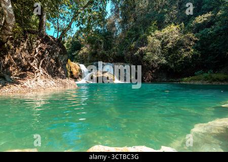 Weite Aufnahme eines wunderschönen natürlichen türkisfarbenen Wasserpools, gespeist von einem kleinen Wasserfall, umgeben von üppig grünen tropischen Dschungelwäldern Stockfoto
