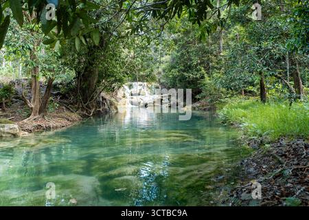 Ein abgeschiedener, natürlicher smaragdgrüner Pool mit kristallklarem Wasser und einem kleinen Wasserfall in einem dichten, ruhigen tropischen Dschungel. Stockfoto